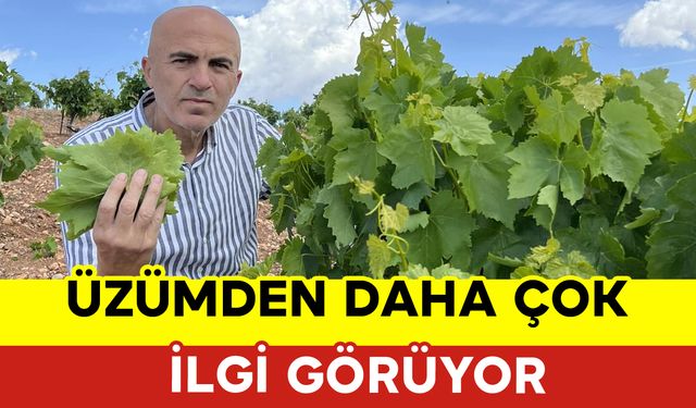 "Üzümden Daha Çok İlgi Görüyor"