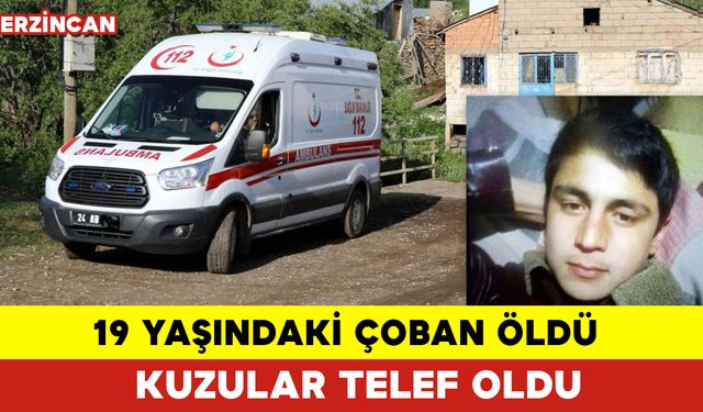 19 Yaşındaki Çoban Öldü Kuzular Telef Oldu