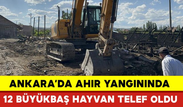 Ahır Yangınında 12 Büyükbaş Hayvan Telef Oldu