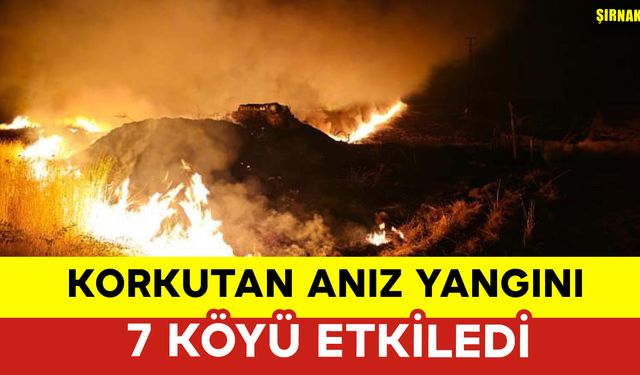 Anız Yangını 7 Köyü Etkiledi