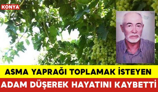 Asma Yaprağı Toplamak İsteyen Adam Düşerek Hayatını Kaybetti