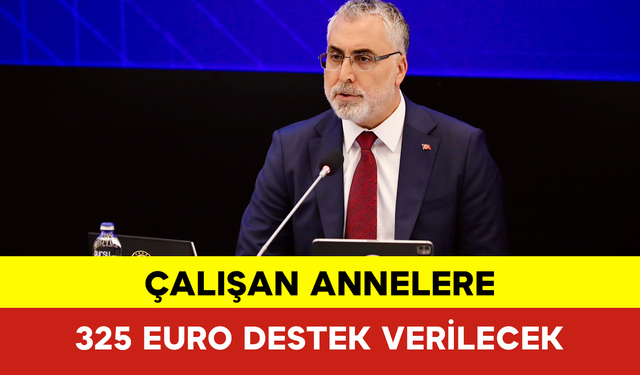 Çalışan Annelere 325 Euro Destek Verilecek