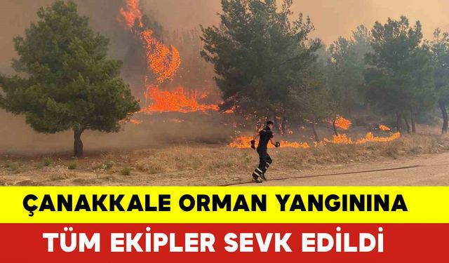 Çanakkale Orman Yangınına Tüm Ekipler Sevk Edildi