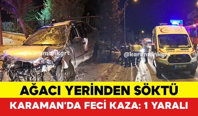 Direksiyon Hakimiyetini Kaybetti Ağacı Yerinden Söktü: 1 Yaralı