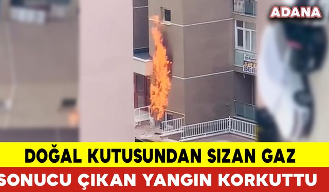 Doğal Kutusundan Sızan Gaz Sonucu Çıkan Yangın Korkuttu