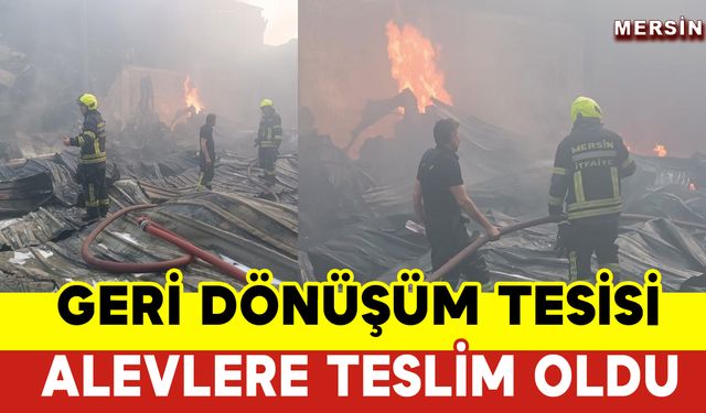 Geri Dönüşüm Tesisi Alevlere Teslim Oldu