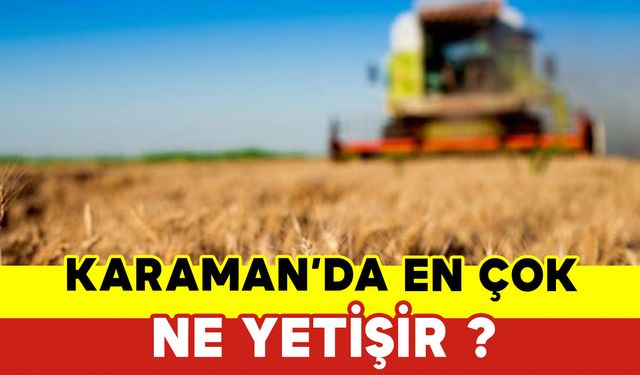 Karaman’da En Çok Ne Yetişir?