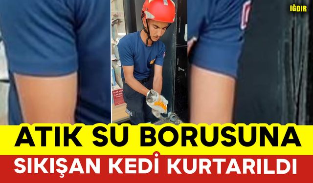 Kedi Sıkıştığı Yerden İtfaiye Ekiplerince Kurtarıldı