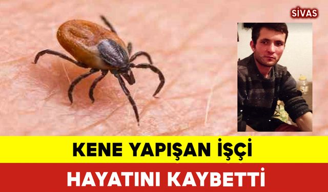 Kene O İşçiyi Hayattan Koparttı