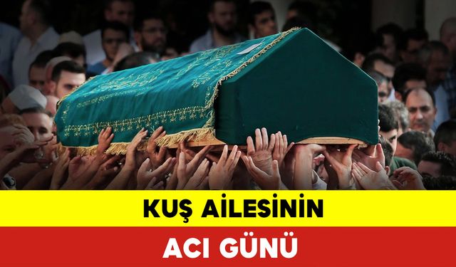 Kuş Ailesinin Acı Günü