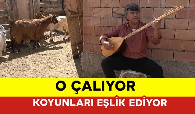 O Çalıyor Koyunları Eşlik Ediyor