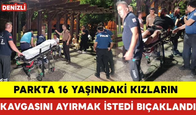 Parkta 16 Yaşındaki Kızların Kavgasını Ayırmak İstedi Bıçaklandı