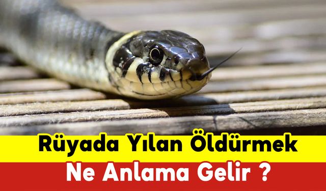 Rüyada Yılan Öldürmek Ne Anlama Gelir ?