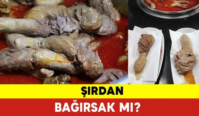 Şırdan Bağırsak mı?