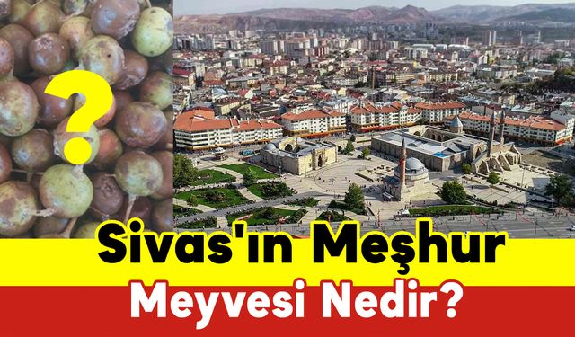 Sivas'ın Meşhur Meyvesi Nedir?