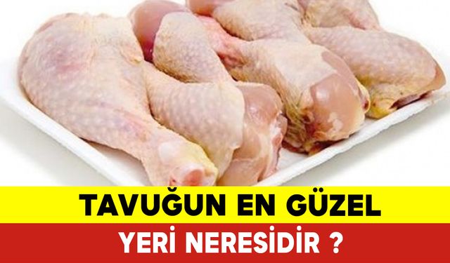 Tavuğun En Güzel Yeri Neresi?