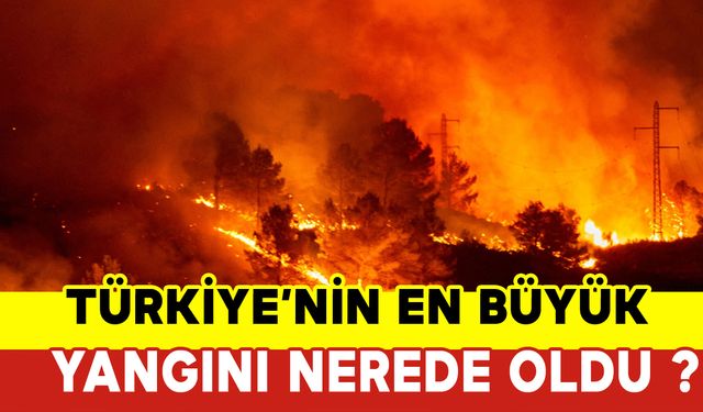 Türkiye’nin En Büyük Yangını Nerede Oldu?