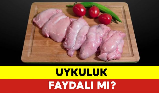 Uykuluk Faydalı mı?