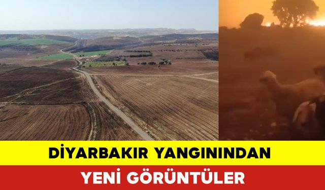 Diyarbakır ve Mardin Yangınlarından Yeni Görüntüler