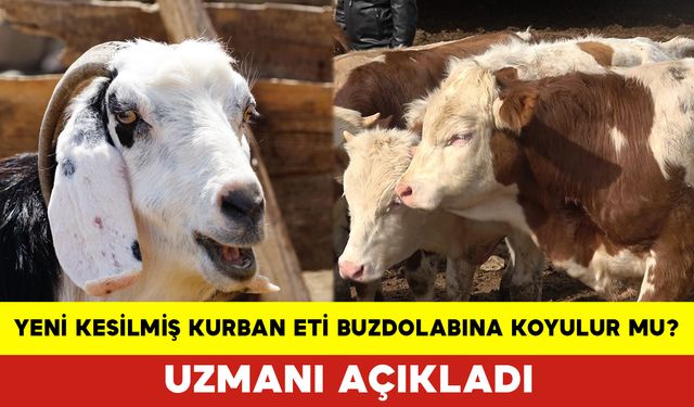 Yeni Kesilmiş Kurban Eti Buzdolabına Koyulur mu?