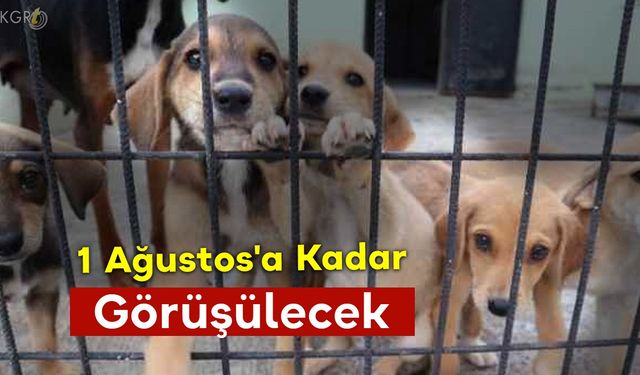 1 Ağustos'a Kadar Görüşülecek