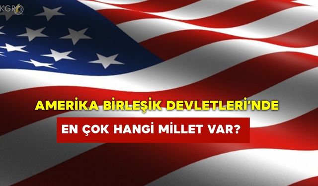 Amerika Da En Çok Hangi Millet Var?