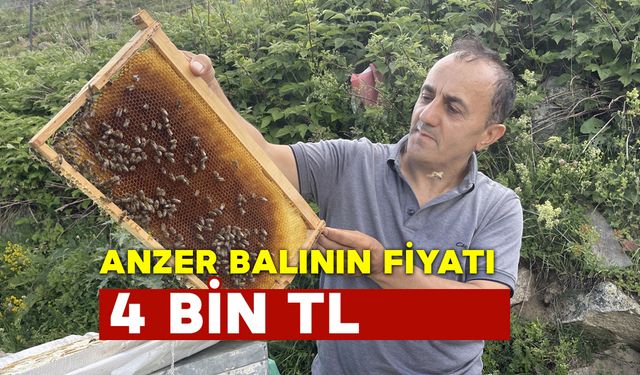 Anzer Balı’nın Satış Fiyatı 4 Bin TL Oldu