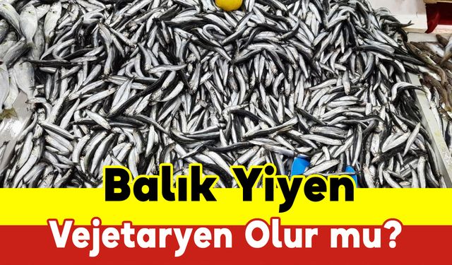 Balık Yiyen Vejetaryen Olur mu?