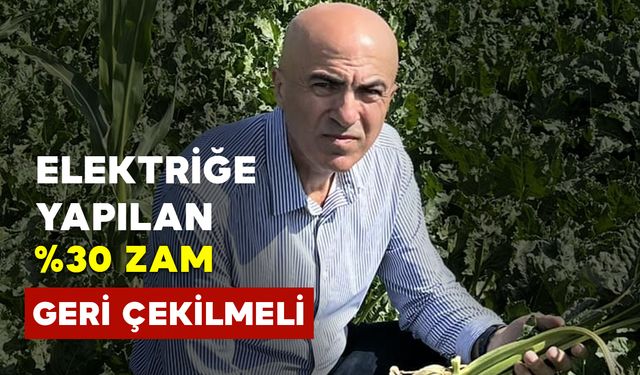 "Elektriğe Yapılan %30 Zam Geri Çekilmeli"