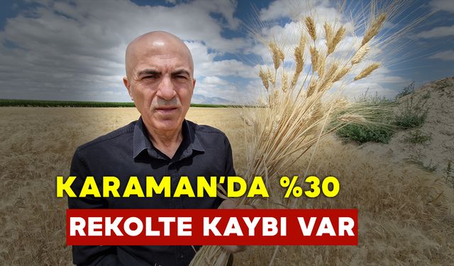 Hububattaki Rekolte Düşüklüğü Çiftçinin Yüzünü Güldürmüyor