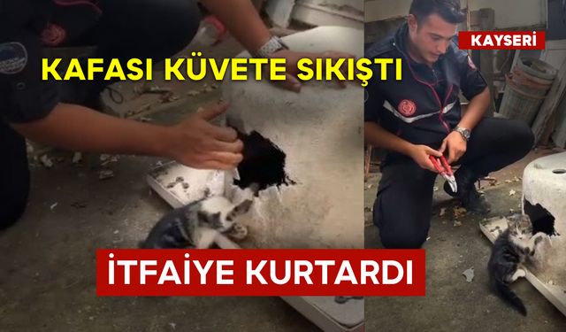 Kedinin Yardımına İtfaiye Koştu