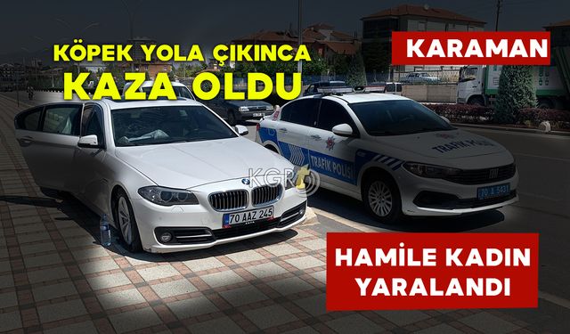 Köpeğe Çarpmamak İçin Manevra Yapan Otomobil Yoldan Çıktı