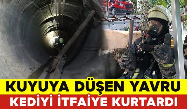 Kuyuya Düşen Yavru Kediyi İtfaiye Ekipleri Kurtardı