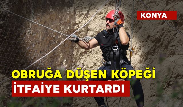 Obruğa Düşen Köpek Böyle Kurtarıldı