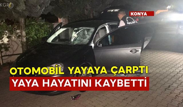 Otomobil Yayaya Çarptı Yaya Hayatını Kaybetti