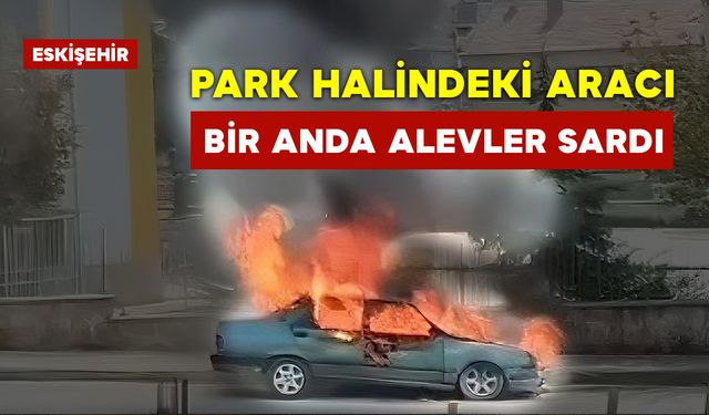 Park Halindeki Otomobili Alevler Sardı