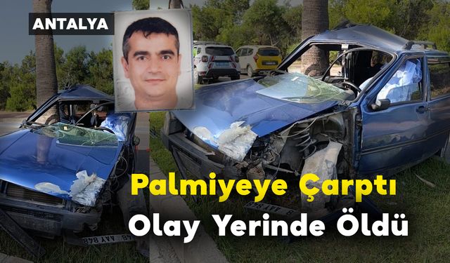 Palmiyeye Çarptı Olay Yerinde Öldü