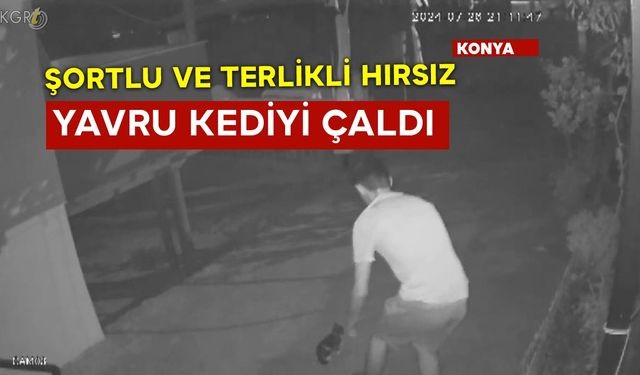 Şortlu Terlikli Hırsız Yavru Kediyi Çaldı