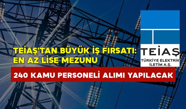 TEİAŞ'tan büyük iş fırsatı: en az lise mezunu 240 kamu personeli alımı yapılacak