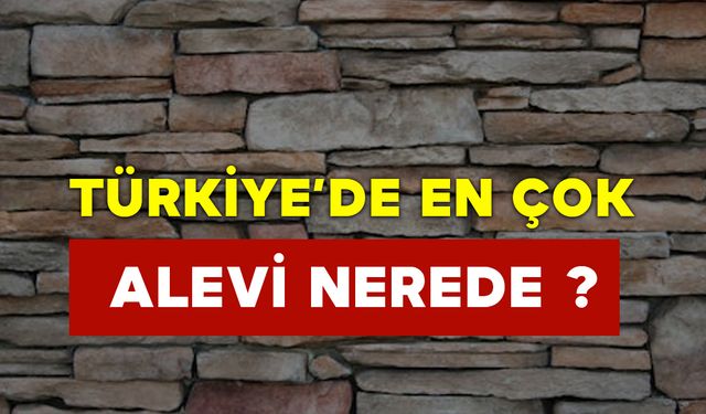 Türkiye’de En Çok Alevi Nerede?