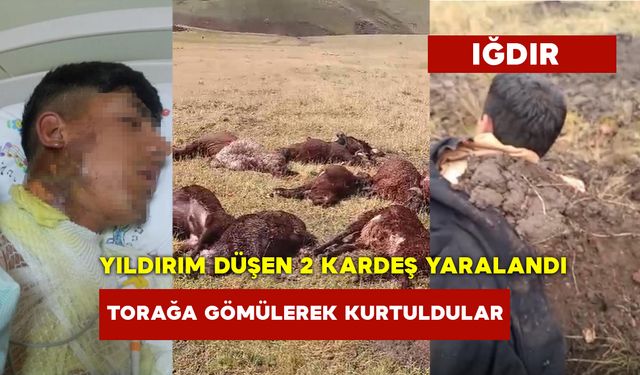 Yıldırım Düşen 2 Kardeş Yaralandı 20 Koyun Telef Oldu