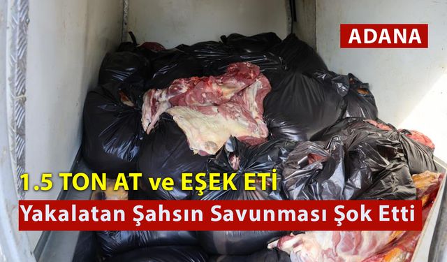 1.5 Ton At ve Eşek Eti Yakalatan Şahsın Savunması Şok Etti