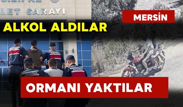 Alkol Alıp Orman Yangını Çıkaran 2 Kişi Tutuklandı