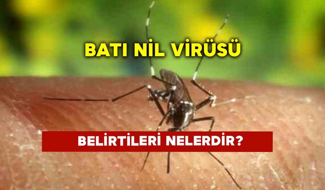 Batı Nil Virüsü Belirtileri Nelerdir?