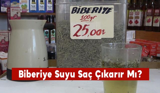 Biberiye Suyu Saç Çıkarır Mı?