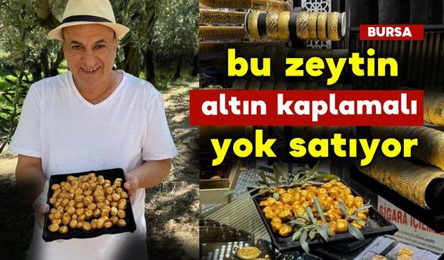 Bu Zeytin Altın Kaplamalı Yok Satıyor