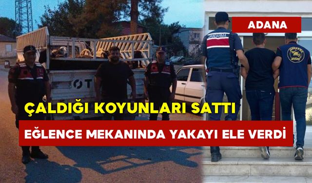 Çaldığı Koyunları Sattı Eğlence Mekanında Yakayı Ele Verdi