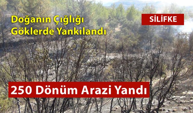 Havadan Karadan Müdahale İle Zor Kontrol Altına Alındı