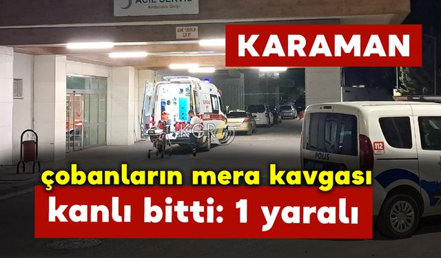 Karaman’da Çobanların Kavgasında Kan Aktı: 1 Yaralı