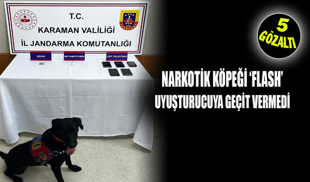 Karaman’da Narkotik Köpeği ‘Flash’ Uyuşturucuya Geçit Vermedi